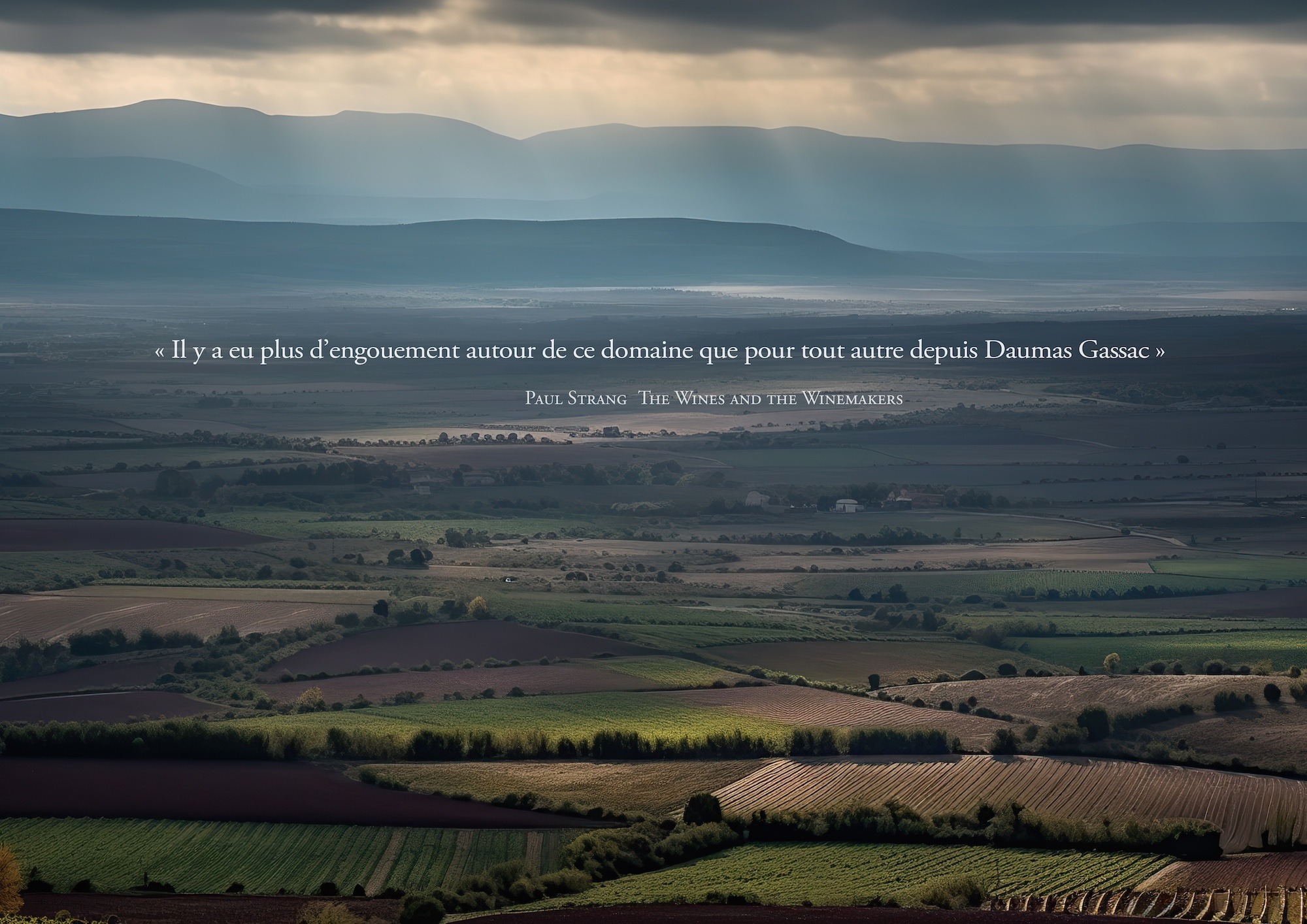  « Le Grand Cru du Sud de la France »