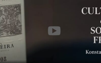 Video: Cult Wines from the South of France – Konstantin Baum MW